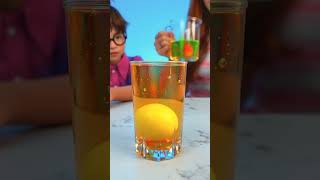 🥚 Egg vs. Water! 🥛 Learning Science Today! ✨