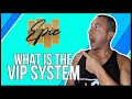 What is the vip system  journey to the vip system 1