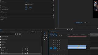 week5 Flip Crop transformations