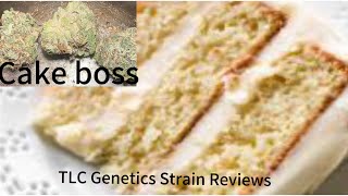The TLC Genetic Show : Cake Boss (Strain Review)