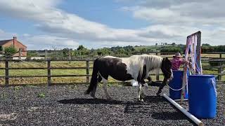Debra Jacques & Ruby July 2025 WO Avanced level