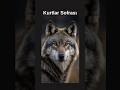 Kurtlar Sofrası Deyimi Nereden Geliyor? #Kurtlarsofrası #deyimler #atasözleri #bilgivideosu #bilgi