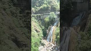 Kempty Falls Mussoorie 🌿😍 | Nature Lovers Paradise #shorts #KemptyFalls #Mussoorie #Nature