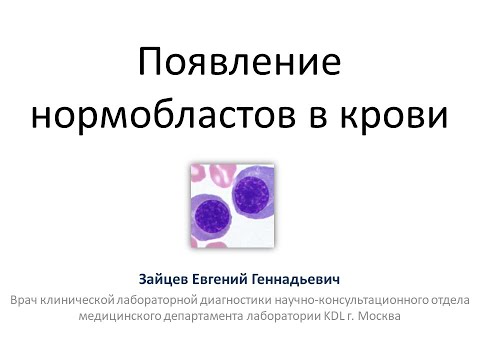 Бейне: Нормобласт дегенді қалай түсінесіз?