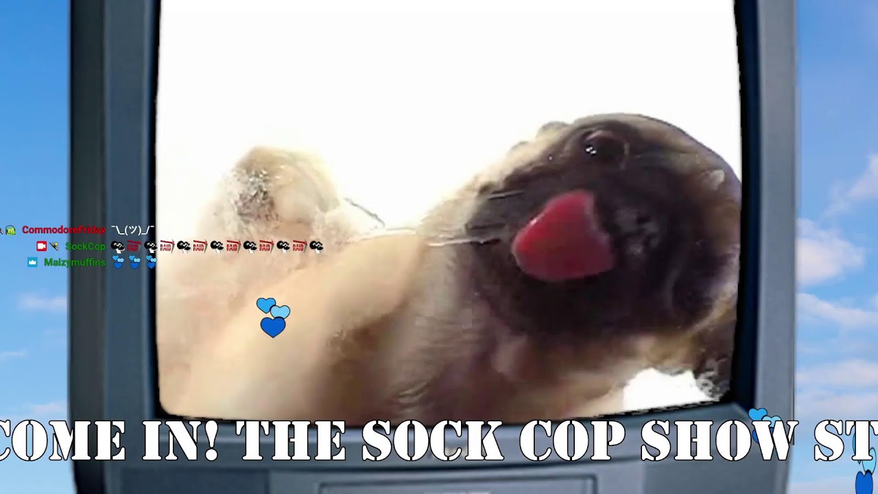 Sock Cop hang out