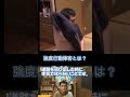 強度行動障害と優しすぎる親