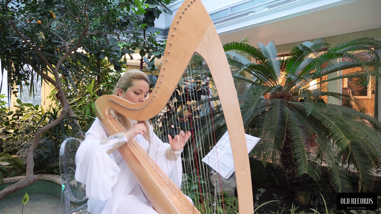 Harp Music Live YouTube