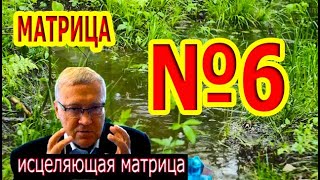 Матрица Гаряева №6 Полное Исцеление Всего Организма