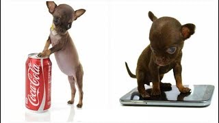 Анасы ұлын жұлқылап жатқанда ұстап алды (Русский порно) Есекке зәр шығару фотолары