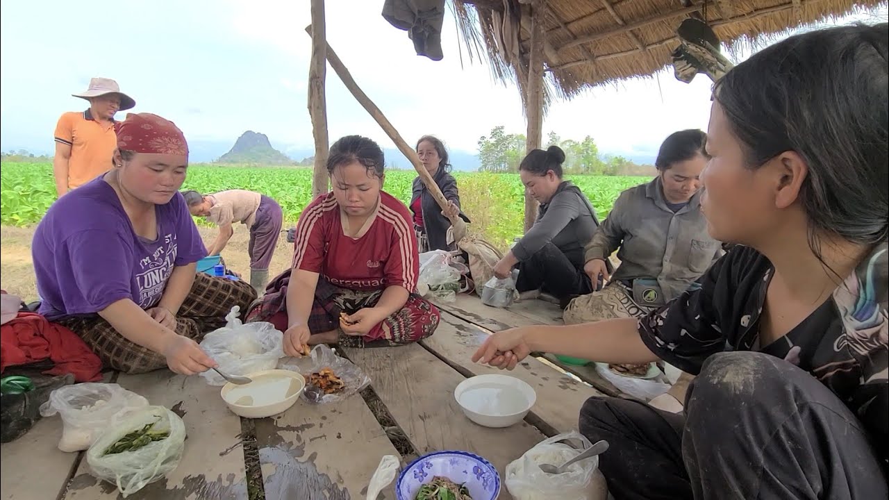 Nrog peb noj su os cov phooj ywg zoo