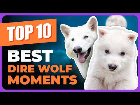 Top 10 Best Dire Wolf Moments (So Far)