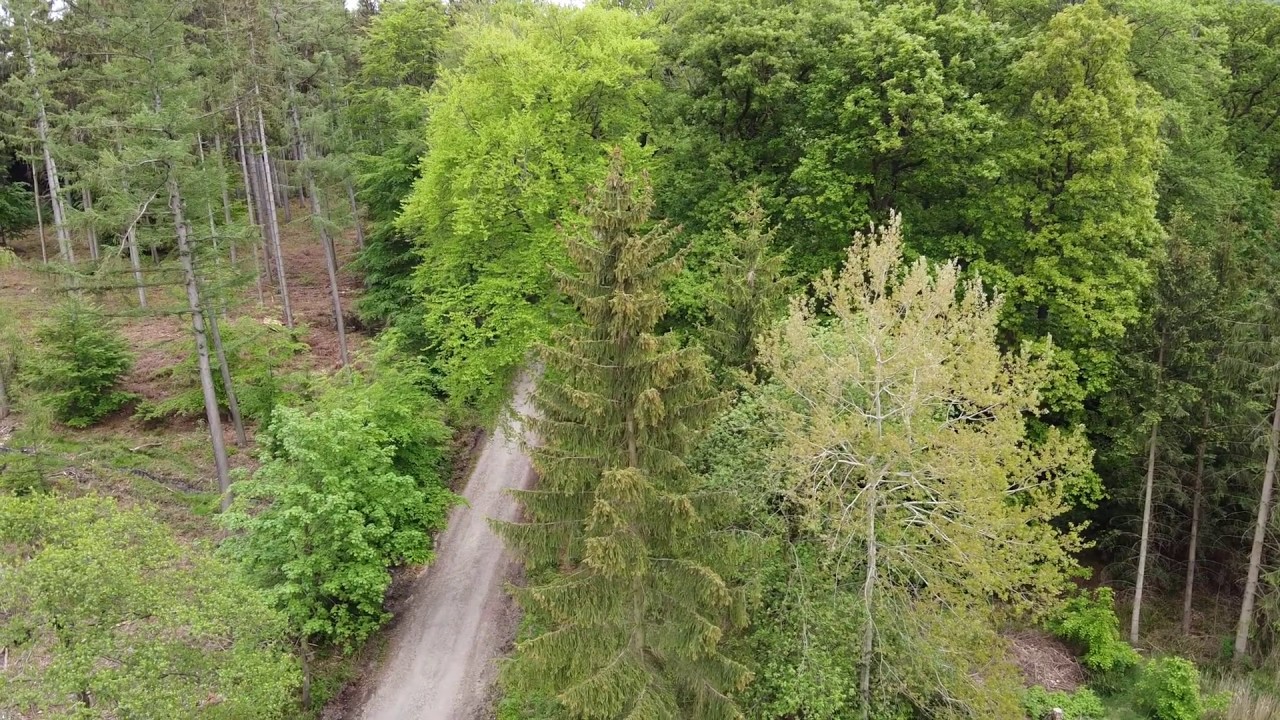 Wanderung vom Waldkater in Wennigsen Richting Springe zum Kammweg