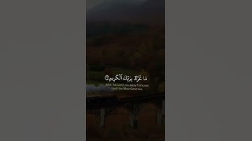 أرح نفسك بتلاوة عطرة من القرآن الكريم بصوت شجي و رائع #تلاوة_خاشعة #حالات_واتس #الله #quran #تلاوات