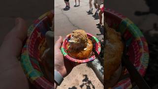 This is the BEST SNACK at Walt Disney World