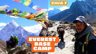 Nepalezii vor să vină în România! Everest Base Camp - ZIUA 7 | Dingboche - Lobuche | Himalaya, NEPAL