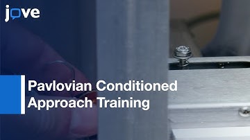 Pavlovian Conditioned Approach Training In Rats l Protocol Preview