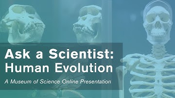 Ask a Scientist: Human Evolution