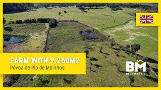 [Sold/Vendido] Rustic land | Central Portugal | Castelo Branco - 30.000€