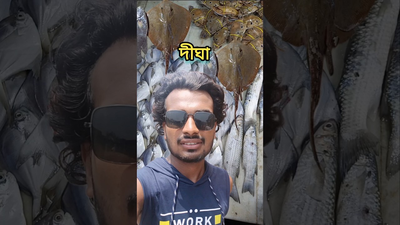 দীঘা মাছ বাজার 🤔 roster surjo  