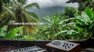 🌿🎹 Jungle Rain: AI-Processed Ambient from a Ruined Hous