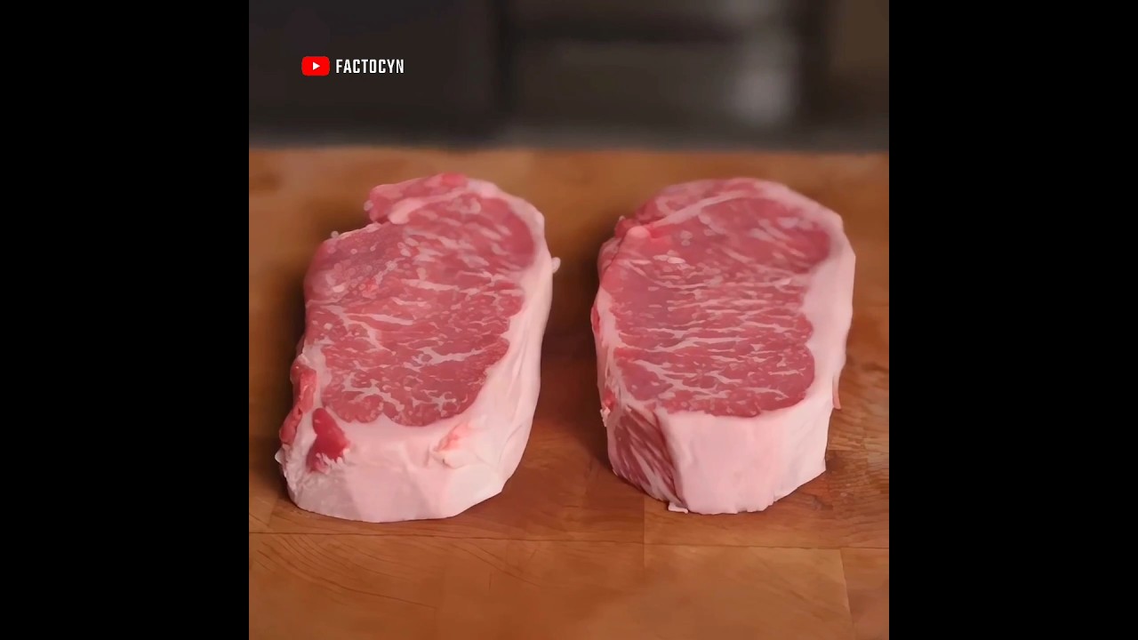 Why does seafood spoil faster than meat?🤔 