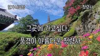 그곳에 가고싶다. 퇴계 이황이 사랑한 그곳!  풍경이 정말 아름다운 청량사