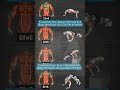 Full Body Workout At Home continue 30 days🔥 #shorts #fitness #workouts