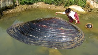 Download Lagu I can't hold it anymore, the pearl clam is too big MP3 Download Lagu I can't hold it anymore, the pearl clam is too big MP3
