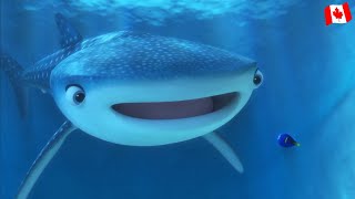 Finding Dory Meeting Destiny Canadian French