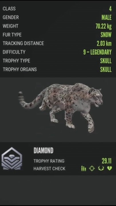 Diamond Snow Leopard on Sundarpatan! The Hunter Call of the Wild | #