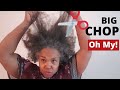 Big Chop | Can I rock this new look? October 2020 VLOG