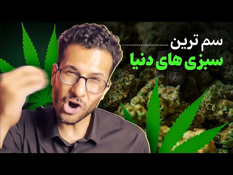 ۷ نژاد برتر ماری جوانا در دنیا بر اساس خلوص 