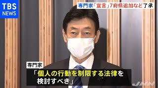 専門家「個人の行動制限する法律の検討を」 対処方針分科会