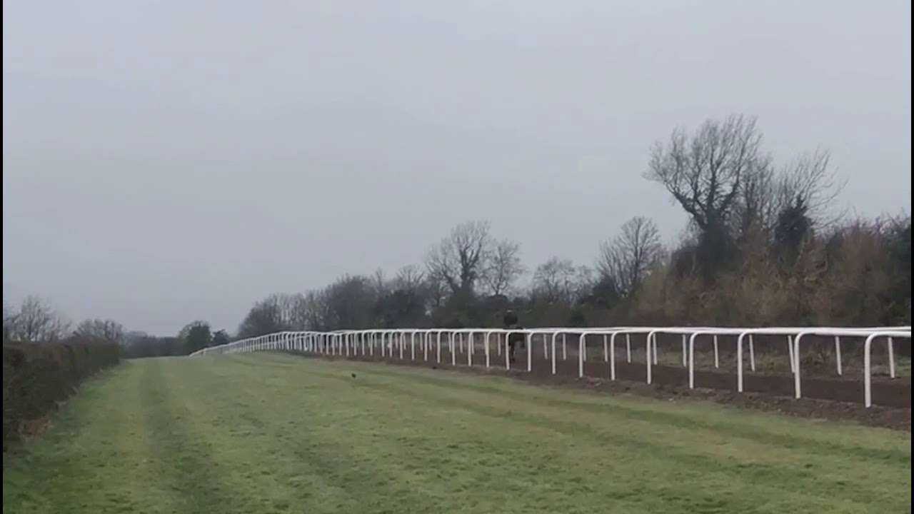 horseshoe bend Headcam footage from Star Bloodstock's breeze-up horses