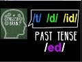 Past Tense (ed) Pronunciation: My English Brain