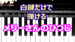 [ピアノで奏でるサビ] メリーさんのひつじ　童謡　[白鍵だけで弾ける][初心者OK]　How to Play Piano （right hand）