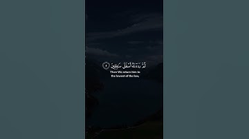 مشاري العفاسي | سورة التين