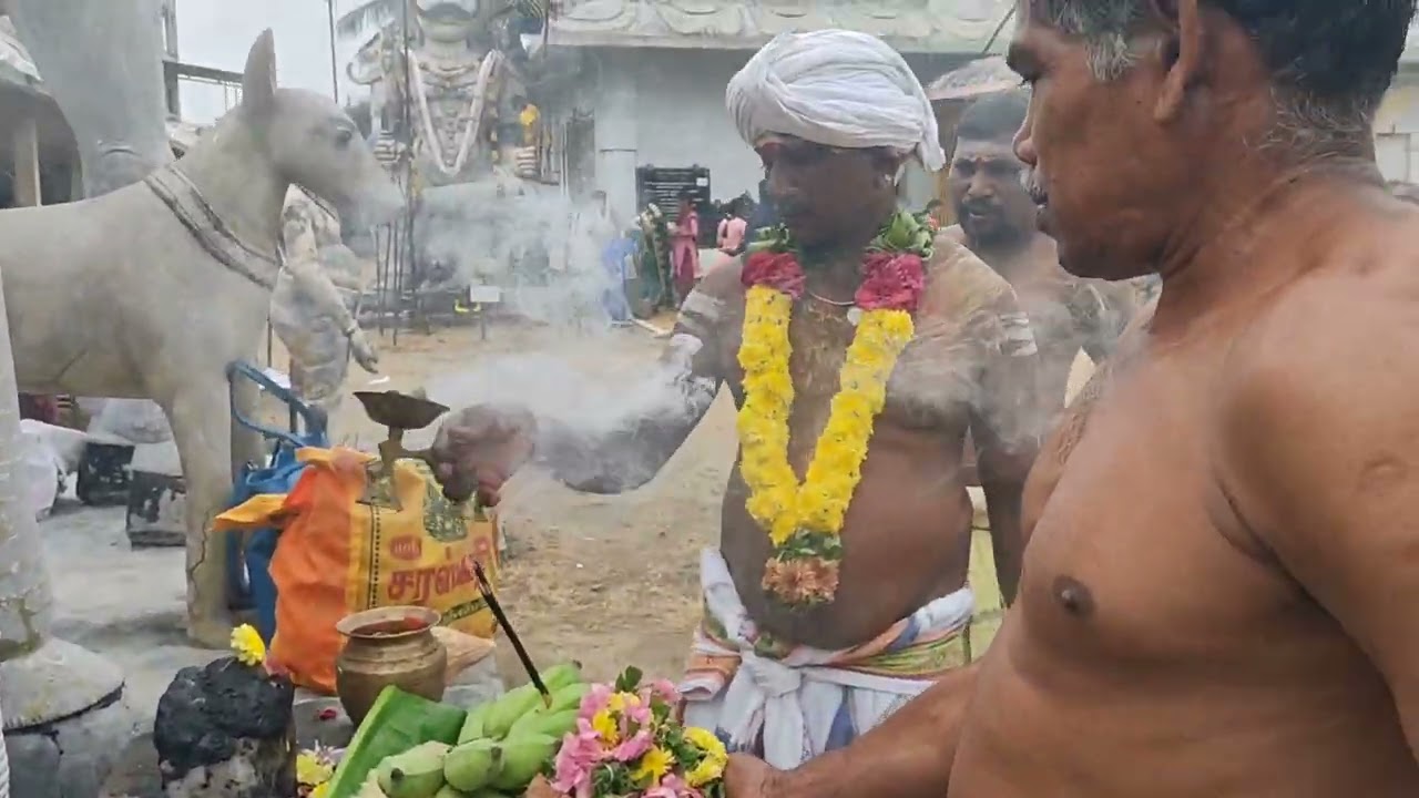 கார்த்திகை மாதம் அமாவாசை பூஜை பருத்திப்பள்ளி அருள்மிகு அண்ணன்மார் சுவாமிக்கு பூஜை நடைபெற்றது.