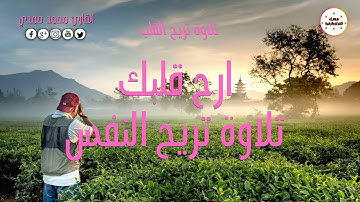 تراويح ليلة 28 رمضان 1445 تلاوة خاشعة هادئة