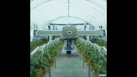 Agrobot autonomous harvester from Spain uses AI technology to determine the ripeness of berries....