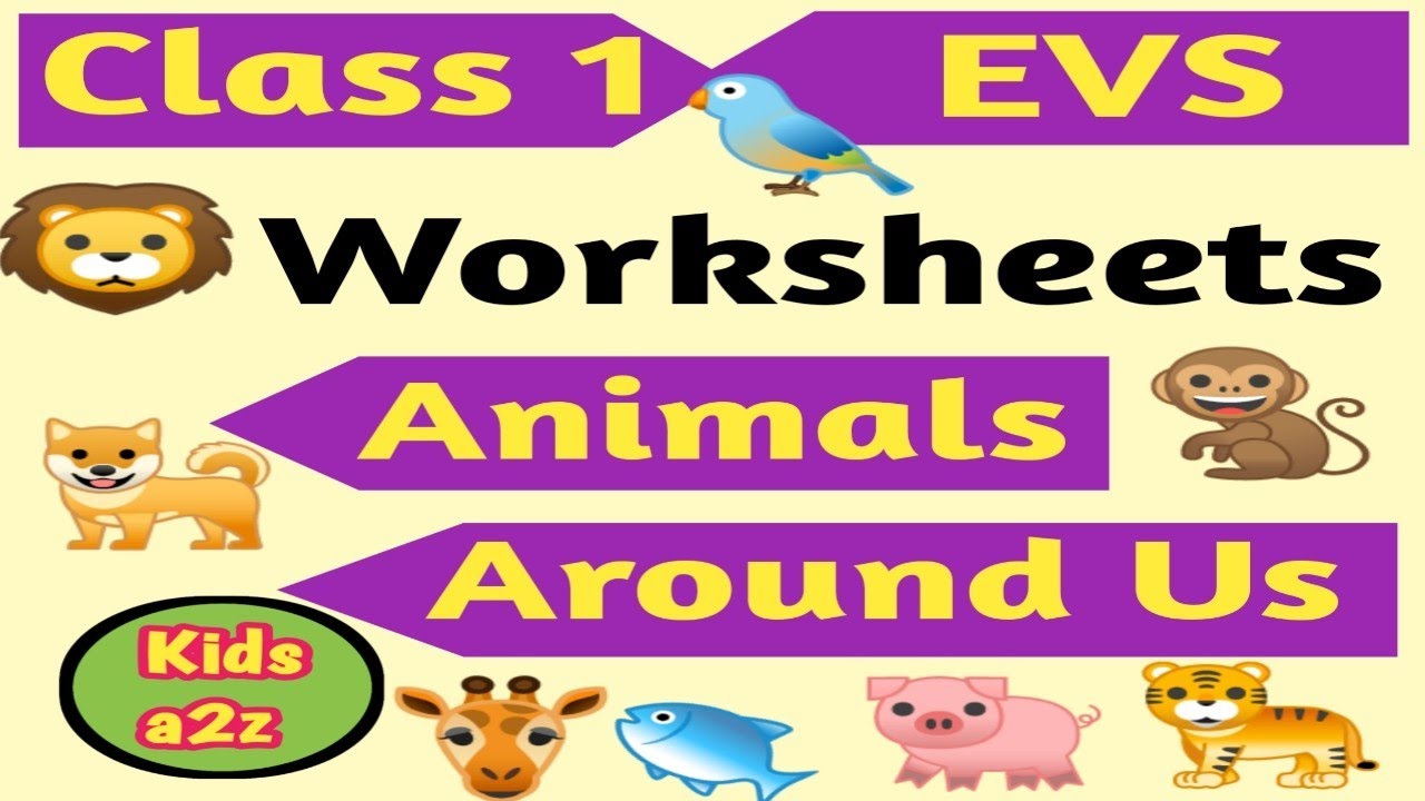 animals-around-us-class-1-evs-worksheet-grade-1-worksheet-youtube