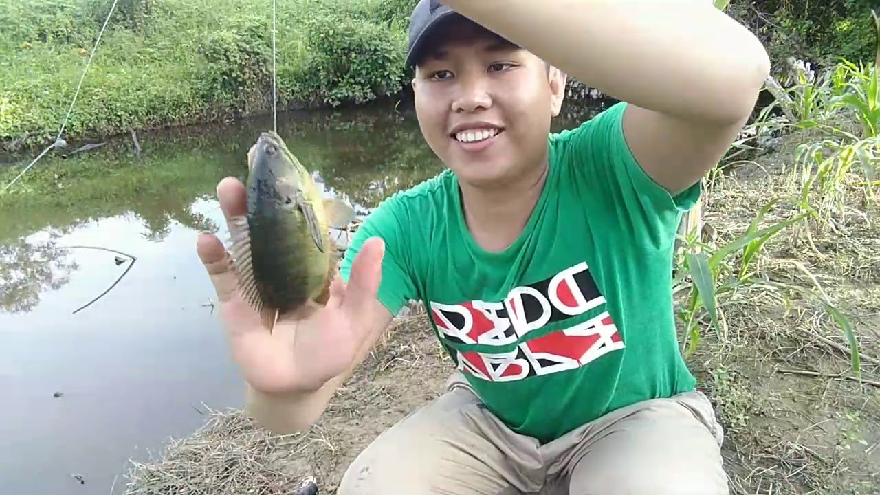  Mancing  dikebun sendiri hasilnya nda nyangka YouTube