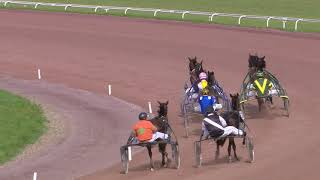 Vidéo de la course PMU PRIX DE SAIGNELEGIER