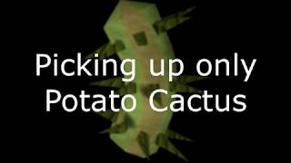 1 mil gp/hour! Potato Cactus Money Making Method! [Runescape 3]