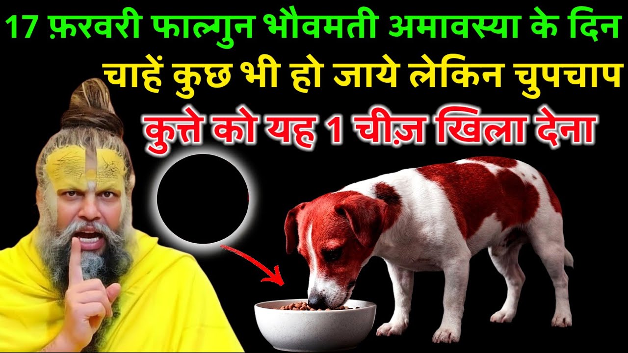 17 फ़रवरी फाल्गुन भौवमती अमावस्या के दिन कुत्ते को खिला देना यह 1 चीज़ माता लक्ष्मी..#premanandji 