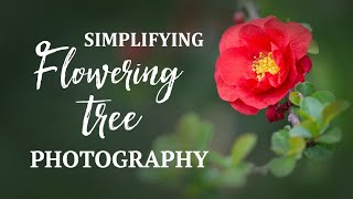 Tips for Photographing Flowering Trees and Shrubs Close-up | Macro &amp; Telephoto