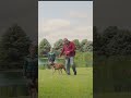 Just marking good and giving your dog a treat has a time a place.. but sometimes it’s important to