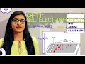 Ch-11 Biotechnology - GEL ELECTROPHORESIS | Biology | Class 12th