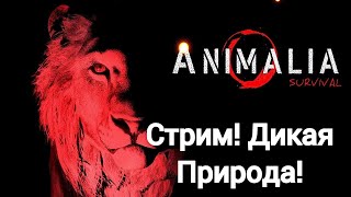 ANIMALIA SURVIVAL . СТРИМ. МИР ДИКОЙ ПРИРОДЫ!