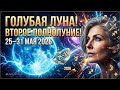 "ГОЛУБАЯ ЛУНА" 31 МАЯ: Назад дороги не будет! 25–31 мая 2026. #гороскоп #таро #прогноз #астрология
